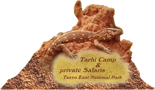www.private-safari.com